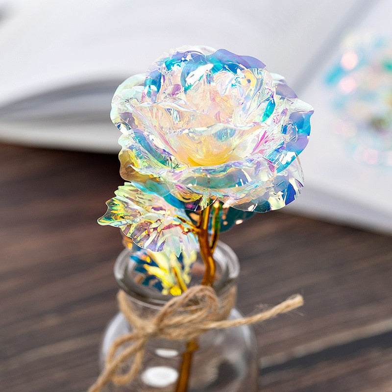 Decoração Elegante para Todos os Ambientes