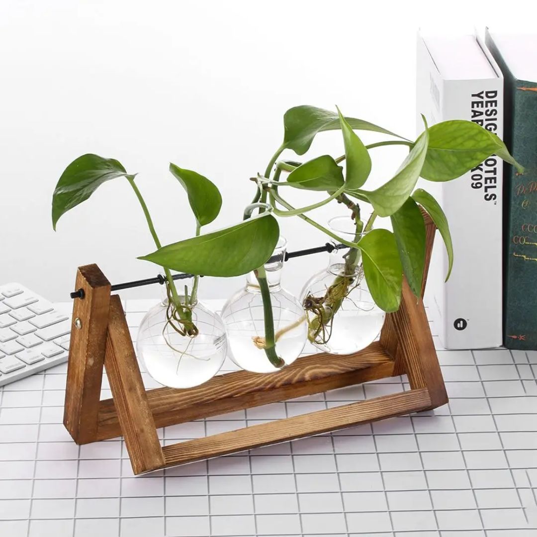 Moderno Vaso Hidropônico com Base de Madeira