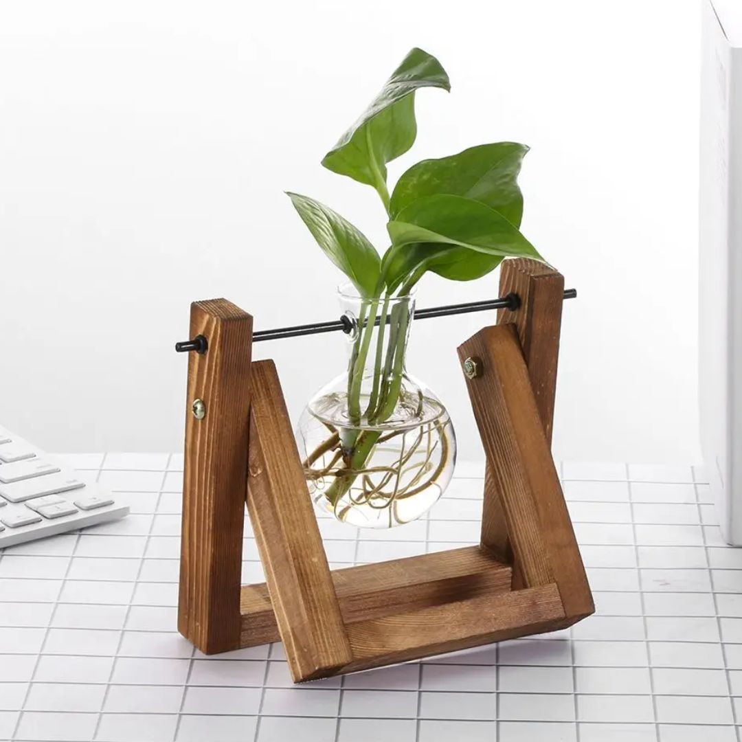 Moderno Vaso Hidropônico com Base de Madeira