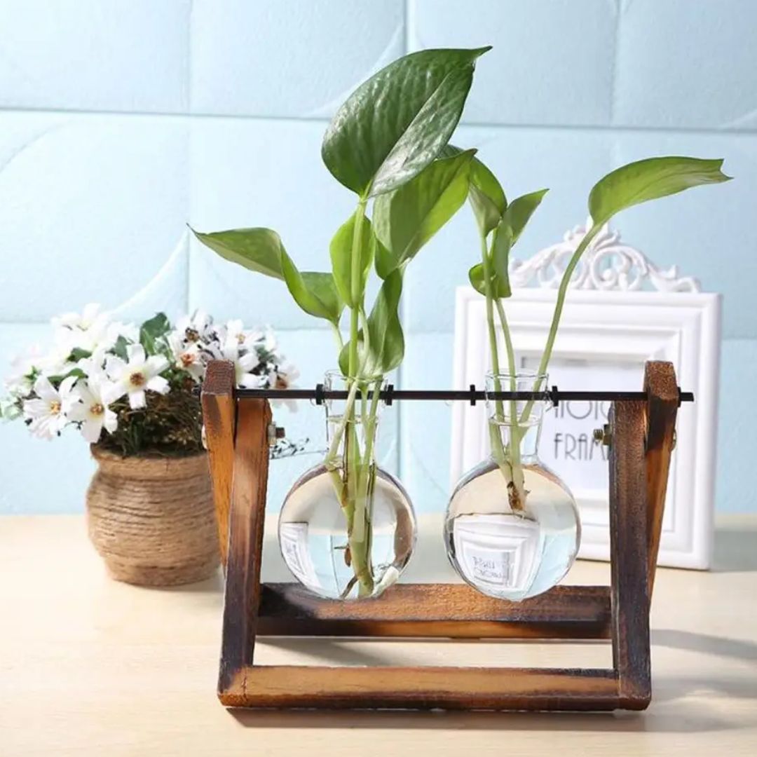 Moderno Vaso Hidropônico com Base de Madeira