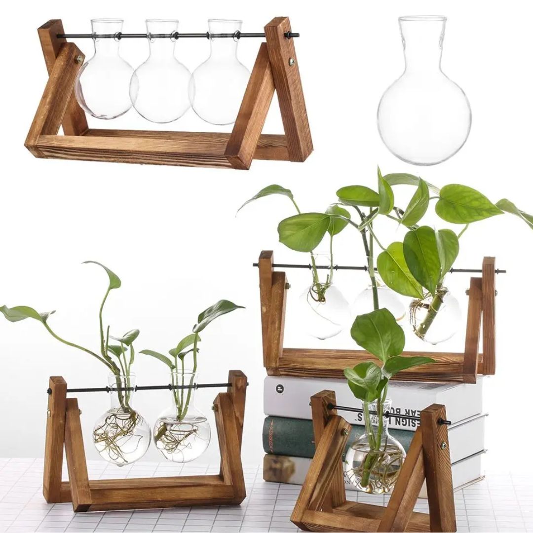 Moderno Vaso Hidropônico com Base de Madeira
