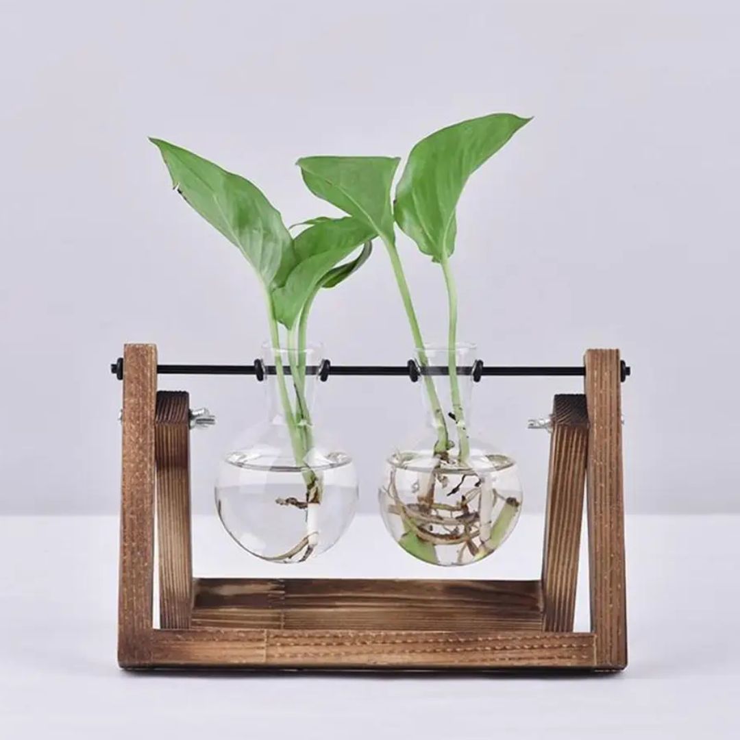 Moderno Vaso Hidropônico com Base de Madeira